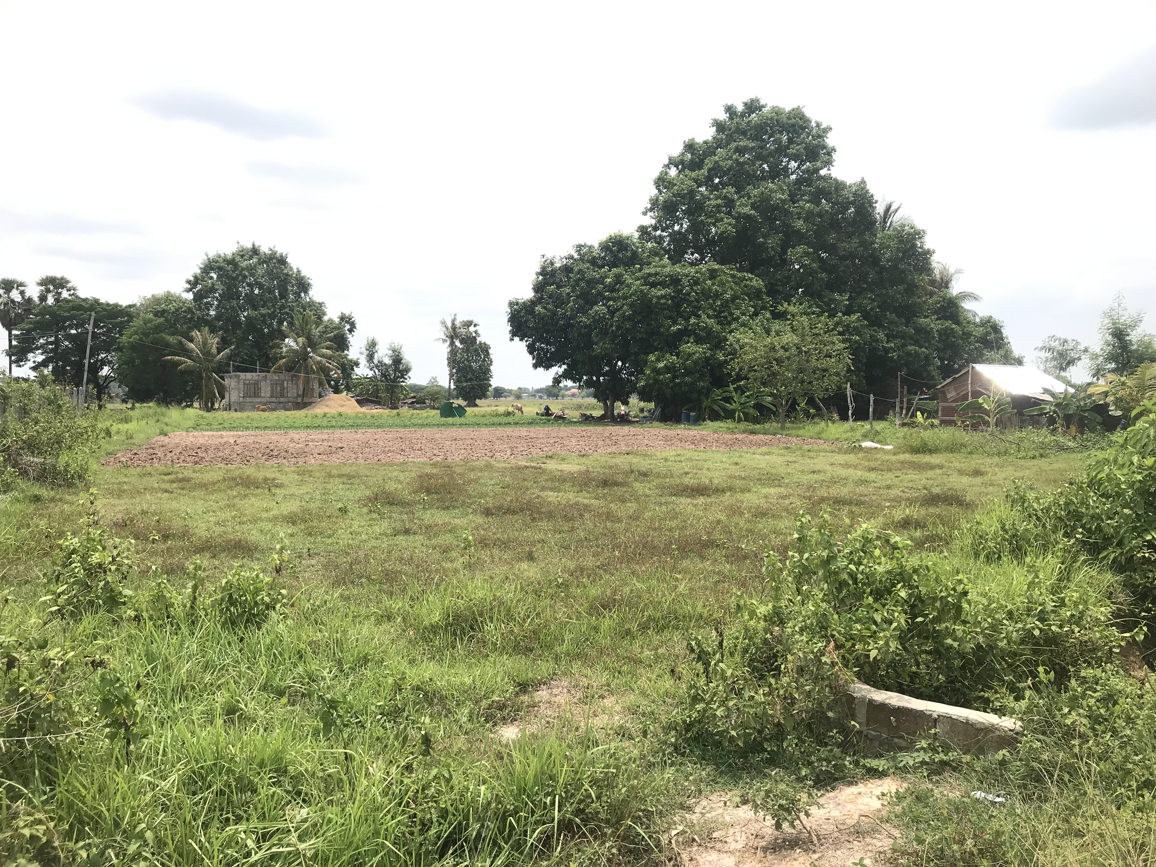 Land for sale in Donekhaxay photo 2