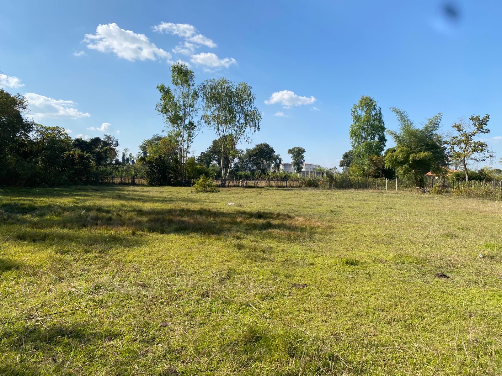 Beautiful land for building or farming