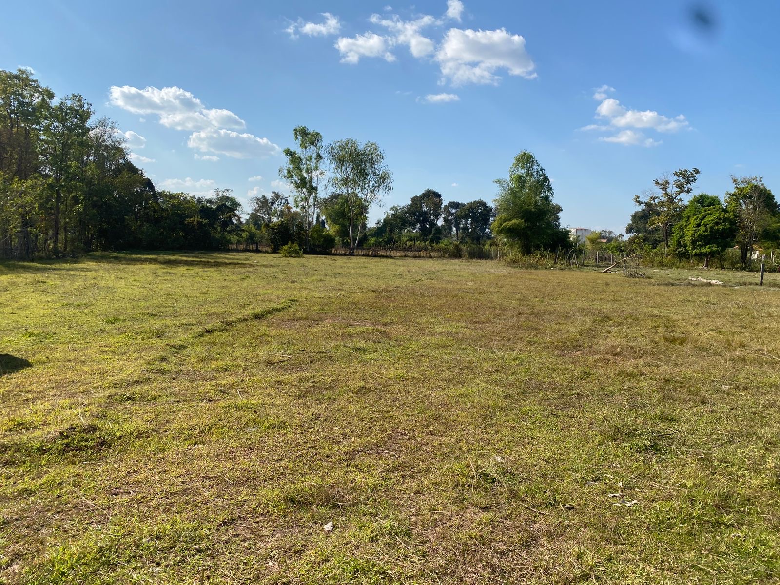 Beautiful land for building or farming photo 2