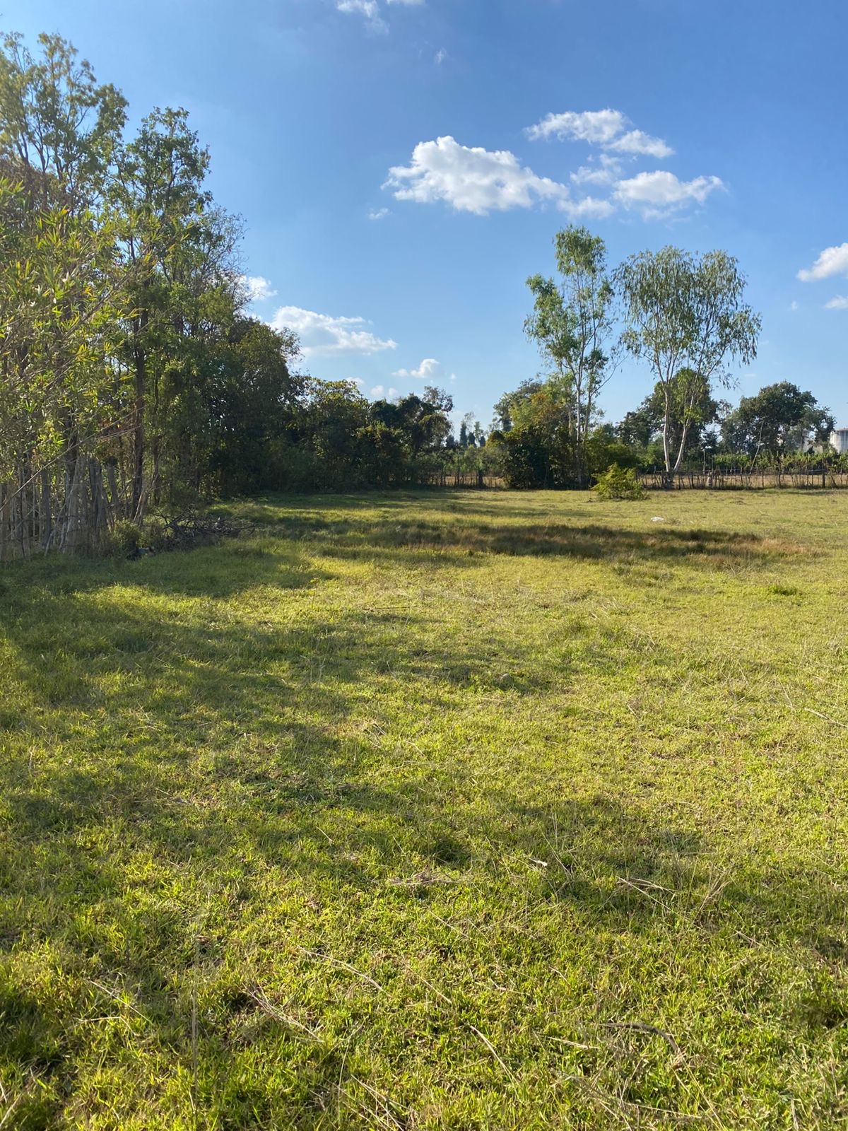 Beautiful land for building or farming photo 4