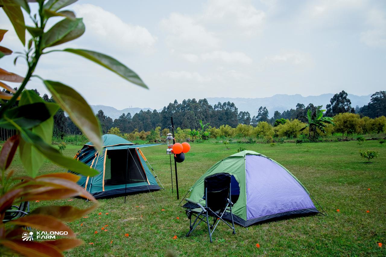 Kalongo Farm Surroundings