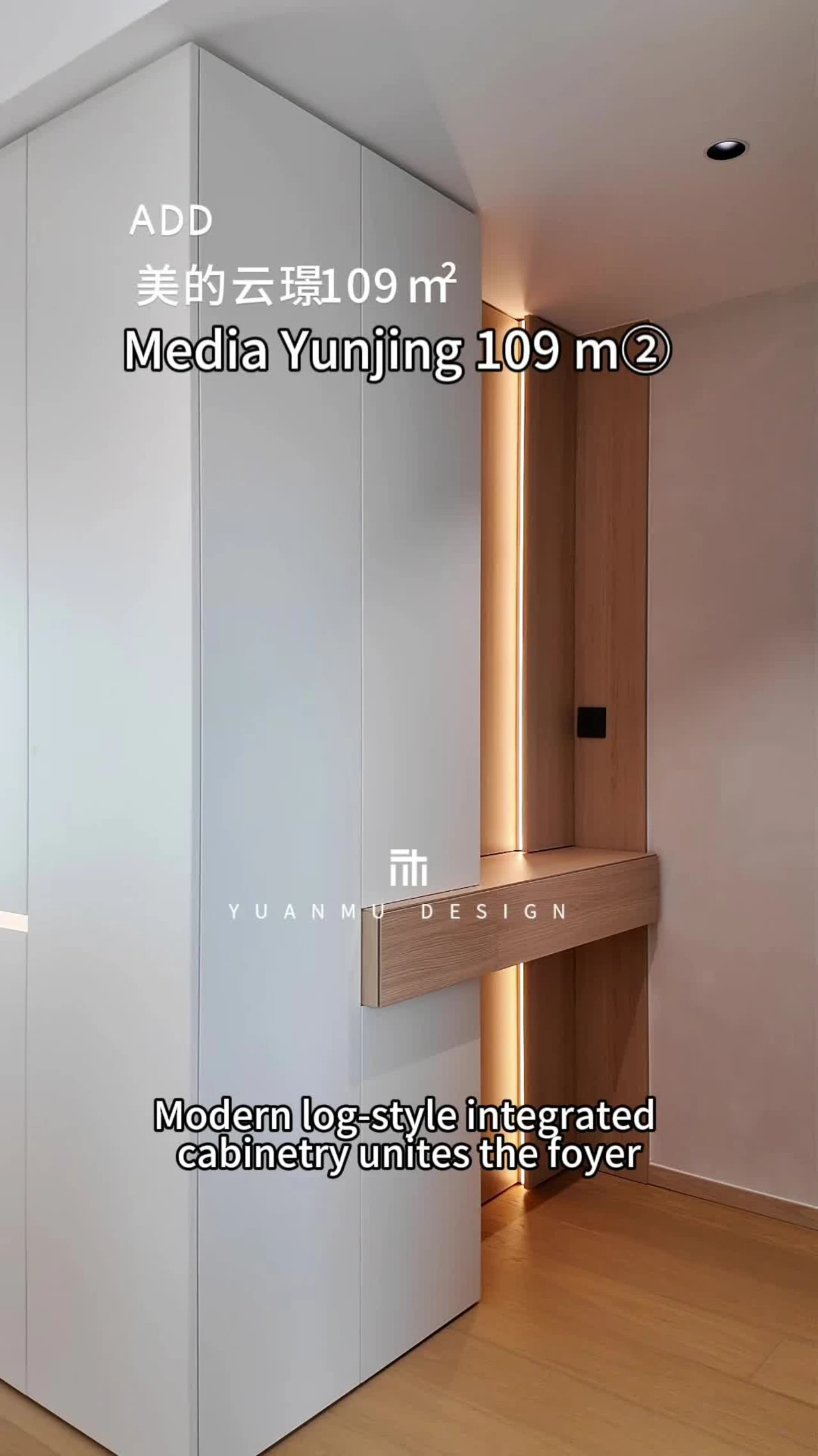 Modern Log-in Living Room