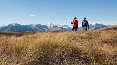 Tekapo High Country Hike | Guided overnight hikes in the Two Thumb Range, Lake Tekapo - Tekapo High Country Hike - hikers on Snake Ridge 1