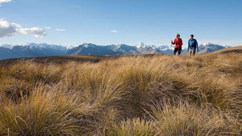 Alpine Hikes & Treks Tekapo Hiking Adventures | Explore the Mackenzie High Country - Hike Tekapo Adventures - hiking in the Two Thumb Range, Lake Tekapo 1