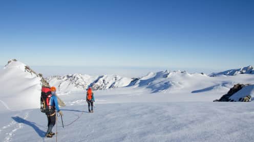 Glacier Hike Westland Glaciers Trek |  - Westland Glaciers Alpine Trek - Fox Glacier 1