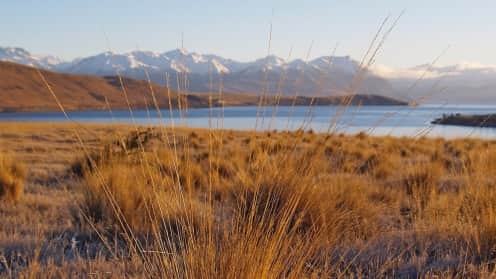 The Best Tekapo Day Hikes & Walking Trails | Explore Tekapo and its stunning mountain and lake views - Lake Tekapo Hiking Trails - Cowan's Hill Walkway 1