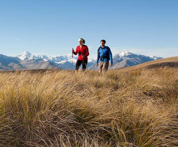 New Zealand Alpine Treks & Hikes - Tekapo High Country Hike - Tekapo High Country Hike - hikers on Snake Ridge 5