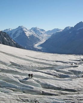 Preparing for your Mountain Adventure - Preparing for Alpine Treks & Hikes - A vast, snow-covered glacier stretches out in the foreground, surrounded by towering, jagged mountain peaks in the background under a clear, blue sky.