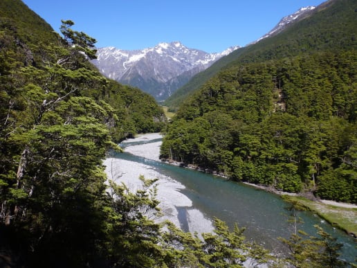 New Zealand Alpine Hikes, Trekking & Snowshoeing - New Zealand Trek & Raft Adventures - Brodrick Pass - Landsborough Trek & Raft - Brodrick Pass - Huxley River - Brodrick Pass - Huxley River 1
