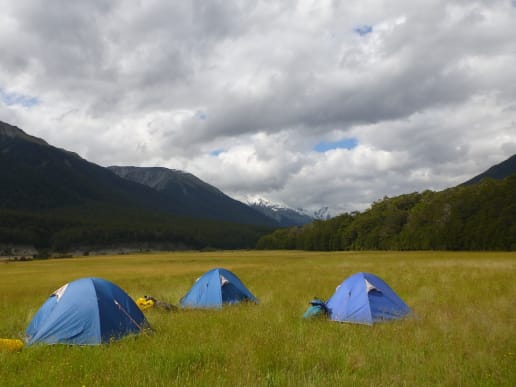 New Zealand Alpine Hikes, Trekking & Snowshoeing - New Zealand Trek & Raft Adventures - Brodrick Pass - Landsborough Trek & Raft - Landsborough Valley - Creswicke Flat - Landsborough Valley - Creswicke Flat 14
