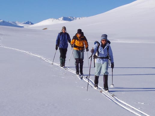 New Zealand Backcountry Skiing & Split-boarding - Nordic / Cross-Country Ski Touring - Lake Tekapo Nordic Ski Touring - Cross-country Ski Touring - Lake Tekapo - Cross-country Ski Touring - Lake Tekapo 1