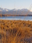 The Best Day Hikes & Walking Trails in Tekapo feature image - Lake Tekapo Hiking Trails - Cowan's Hill Walkway