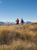 Alpine Treks & Hikes feature image - Tekapo Trek - hikers on Snake Ridge