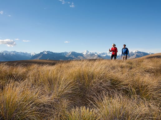New Zealand Alpine Hikes, Trekking & Snowshoeing - New Zealand Alpine Treks & Hikes - Tekapo High Country Hike - Tekapo High Country Hike - hikers on Snake Ridge - Tekapo High Country Hike - hikers on Snake Ridge 1