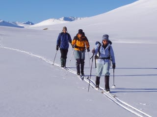 Nordic Ski Touring feature image - Nordic cross-country ski touring in the Two Thumb Range near Lake Tekapo, New Zealand