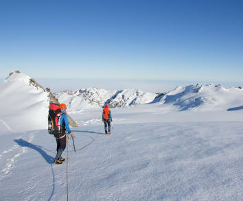 New Zealand Glacier Hikes & Treks - Westland Glaciers Trek - Westland Glaciers Alpine Trek - Fox Glacier 10