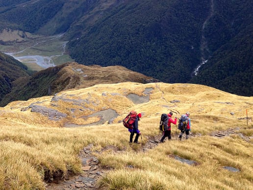 New Zealand Alpine Hikes, Trekking & Snowshoeing - Trans-Alpine Crossings & Traverses - Mount Aspiring Trek - Mount Aspiring Trek - alpine meadows near French Ridge Hut - Mount Aspiring Trek - alpine meadows near French Ridge Hut 2