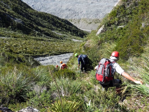 About - Preparing for your Mountain Adventure - Routes to and from Caroline Hut and Ball Ridge - Route to Caroline Hut and Ball Pass - descending steep scrub - Hikers in steep alpine scrub, Tasman Valley, Aoraki Mount Cook National Park, New Zealand 2