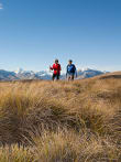 Explore the Two Thumb Range feature image - Hiking along Snake Ridge in the Two Thumb Range