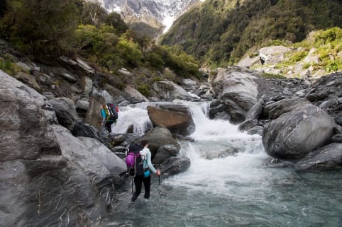 Mount Sefton - "Wilderness" option - Mount Sefton - Scott's Creek, Copland Valley 2