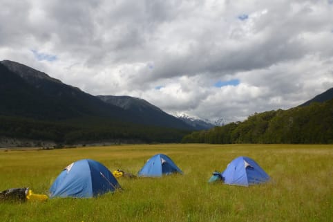 Venue: Creswicke Flat Camp (summer) - Camping at Creswicke Flat, Landsborough Valley