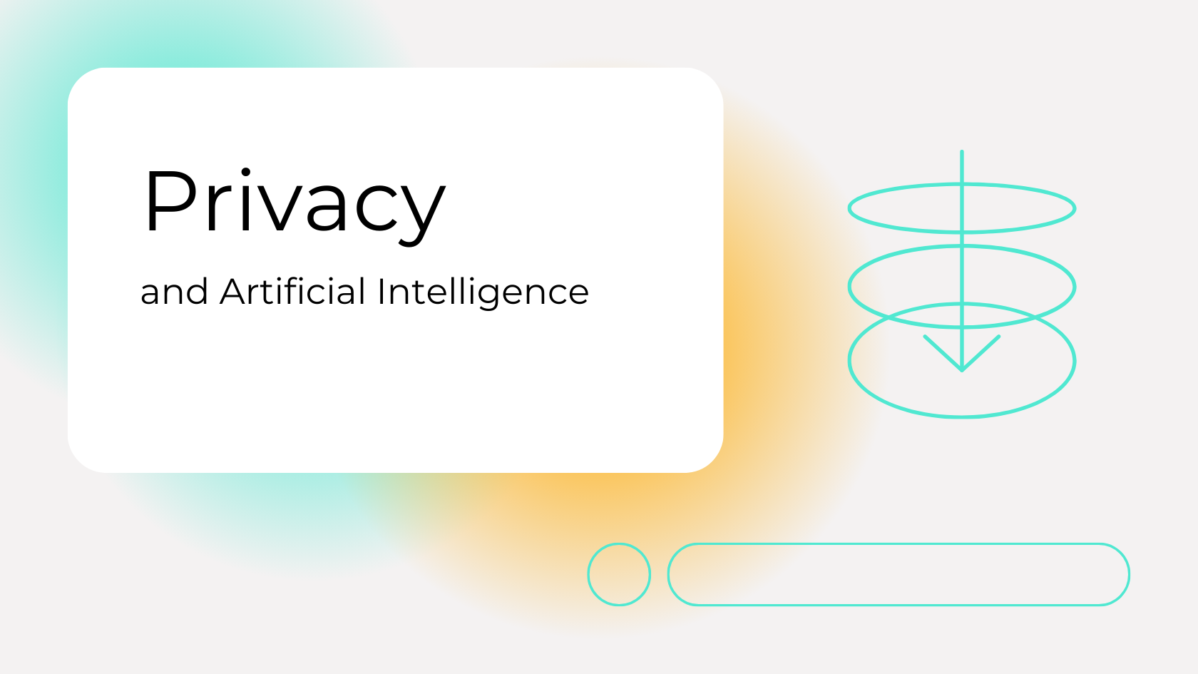 Privacy AI