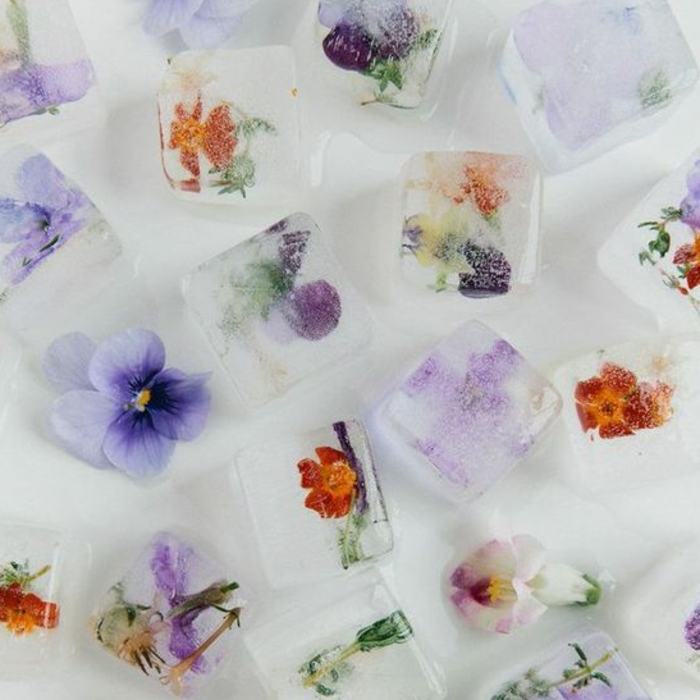 5 Flowers for Lazy Gardening