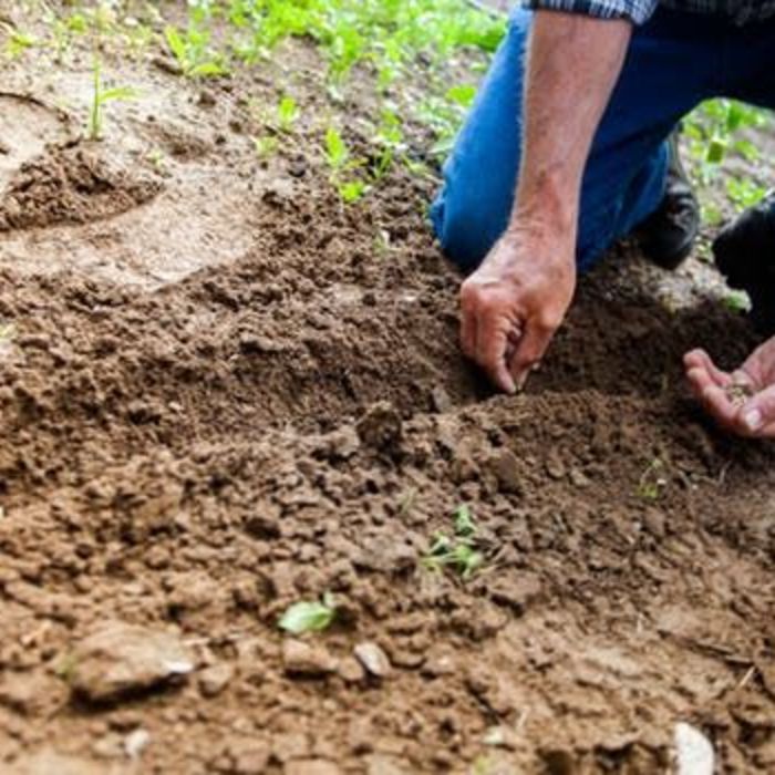 Small Garden Hacks