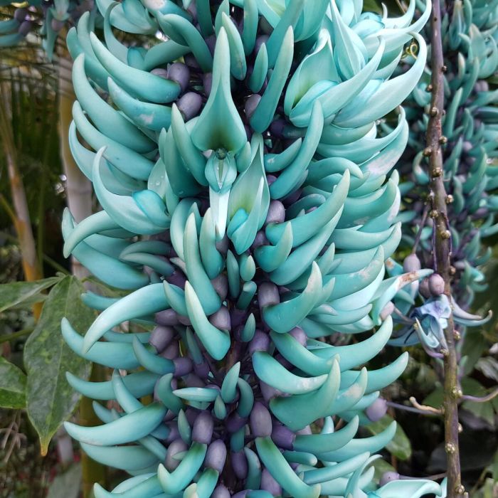 Surrey - RHS Wisley