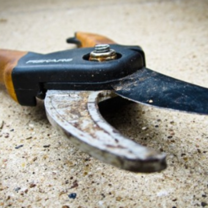 Spring Pruning and Garden Maintenance