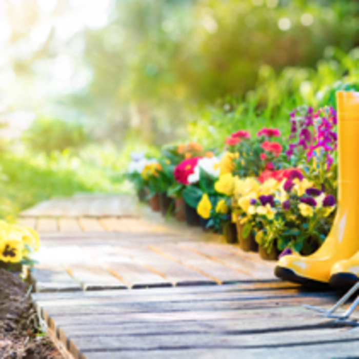 Spring's Approaching: Our 3 Essential Tips for the Early Spring Time