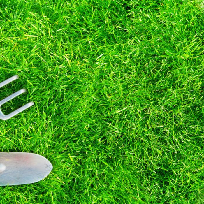 How To Get Your Garden Tools Back In Shape For Springtime!