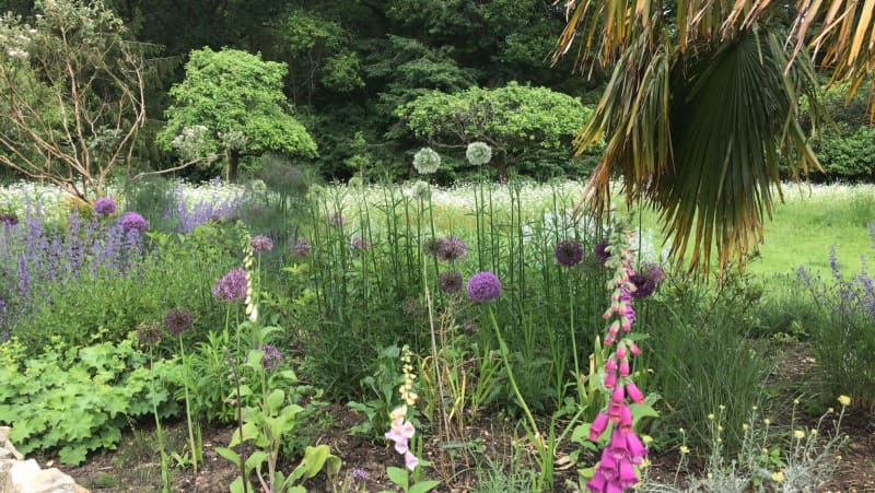 Green Roots Landscaping South West London & Surrey - Gardening Maintenance and Garden Design Projects - Wilding Projects