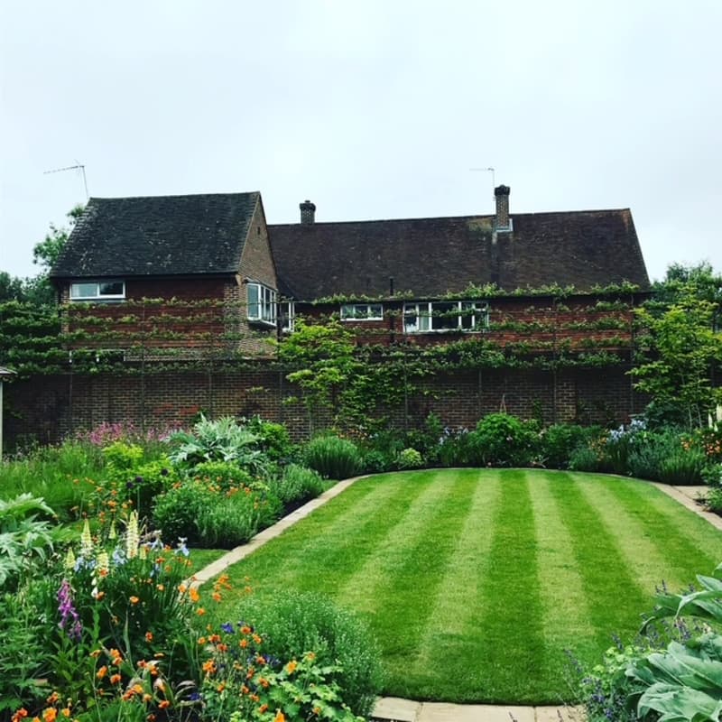 Abingworth Vineyard Blog Image - Image 4