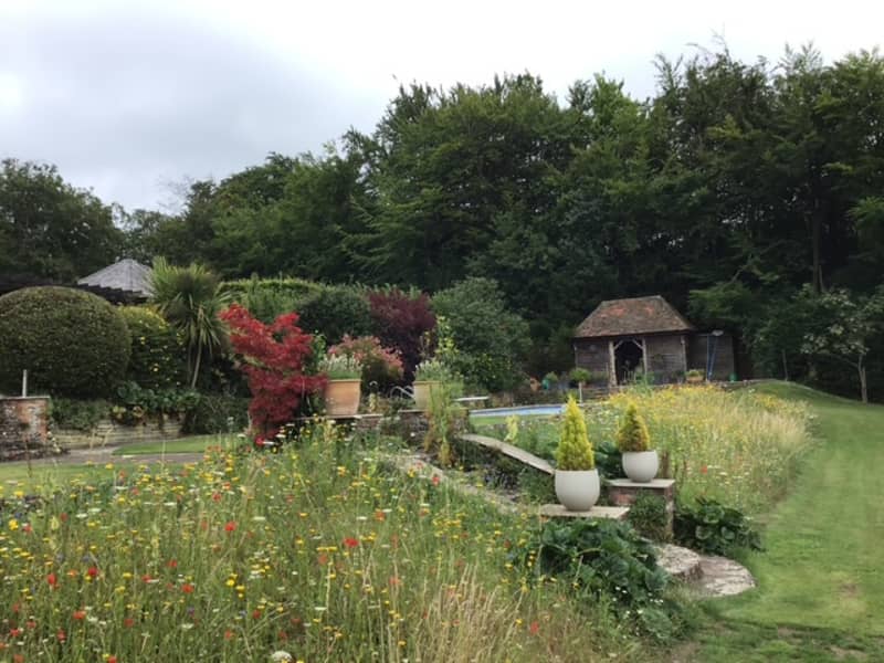 Abingworth Vineyard Blog Image - Image 7