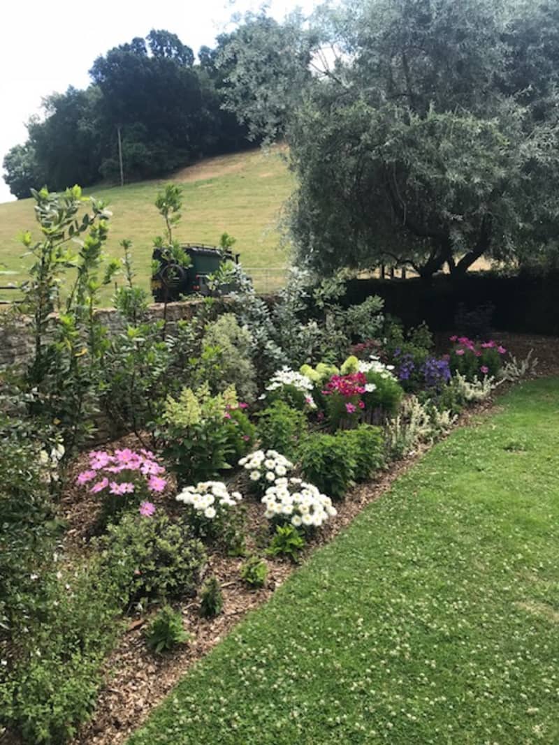Abingworth Vineyard Blog Image - Image 3