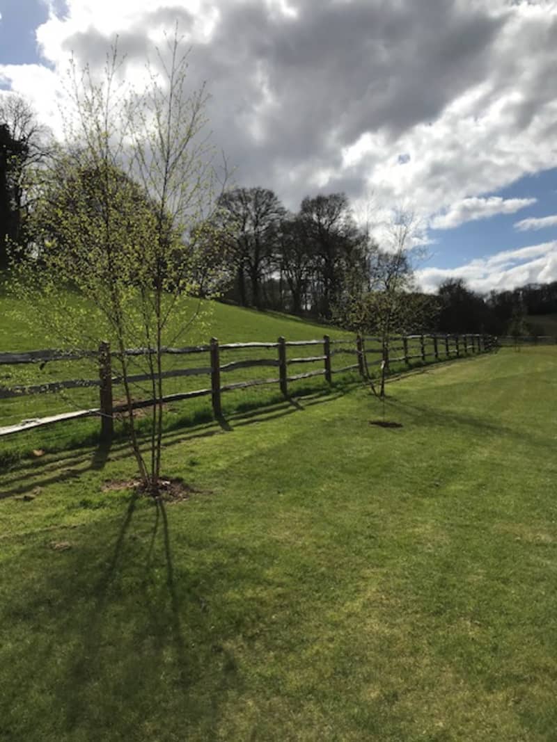 Abingworth Vineyard Blog Image - Image 5