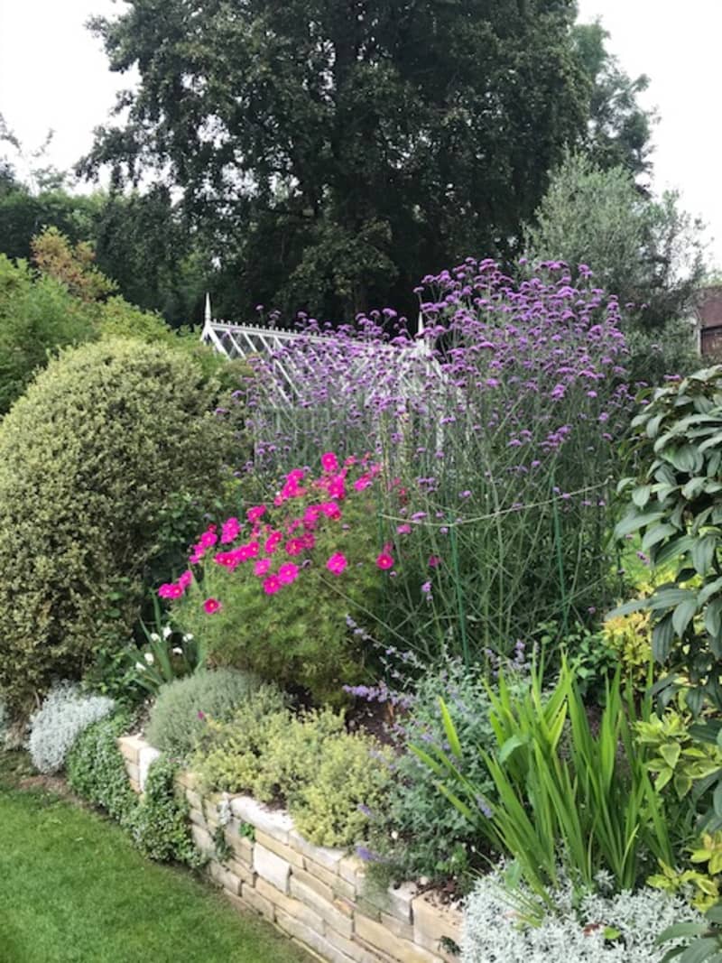 Green Roots Landscaping South West London & Surrey - Gardening Maintenance and Garden Design Projects - Planting Plans
