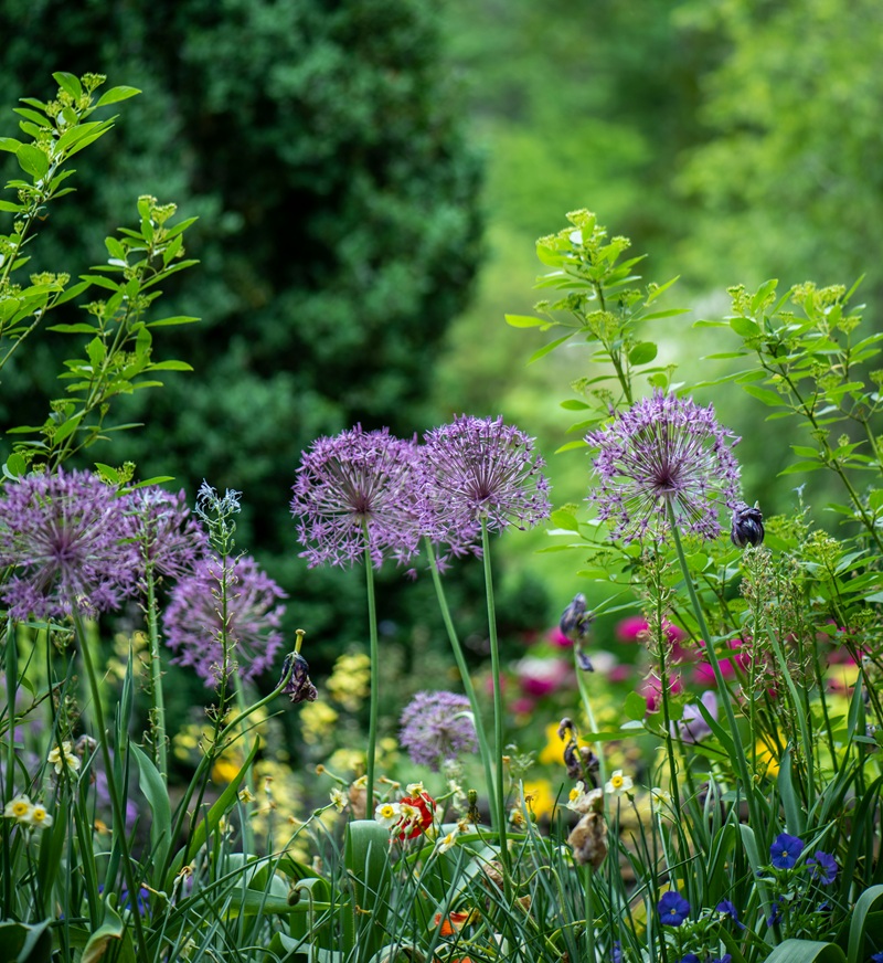 Green Roots Landscaping South West London & Surrey - Gardening Maintenance and Garden Design - Footer Image