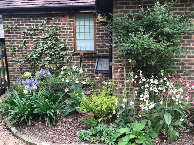 Green Roots Landscaping South West London & Surrey - Gardening Maintenance and Garden Design - Notice Image