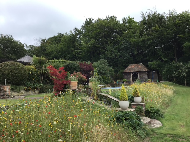 Green Roots Landscaping South West London & Surrey - Gardening Maintenance and Garden Design - About Image