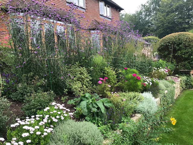 Green Roots Landscaping South West London & Surrey - Gardening Maintenance and Garden Design - About Image