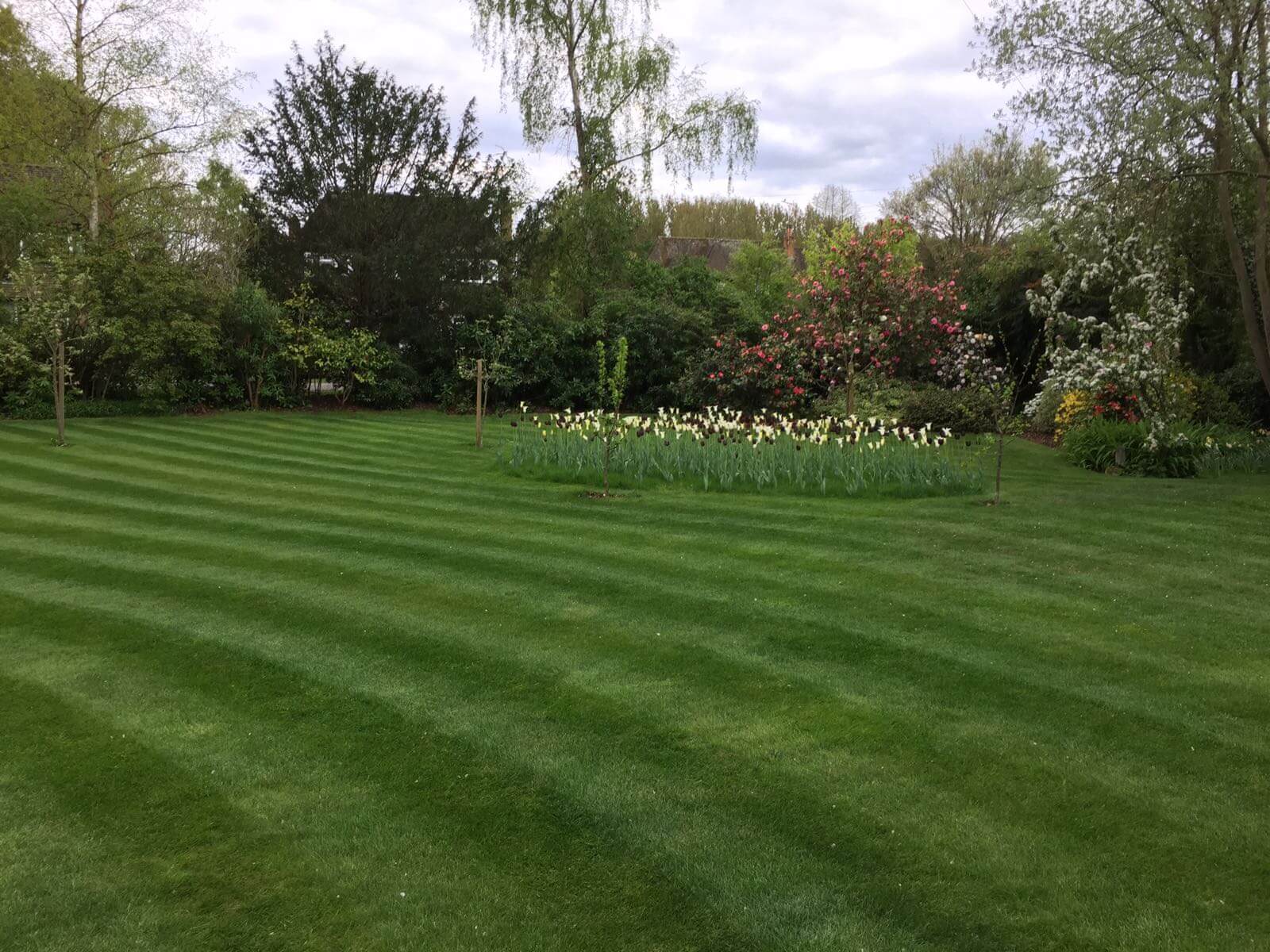 Green Roots Landscaping South West London & Surrey - Gardening Maintenance and Garden Design - About Image