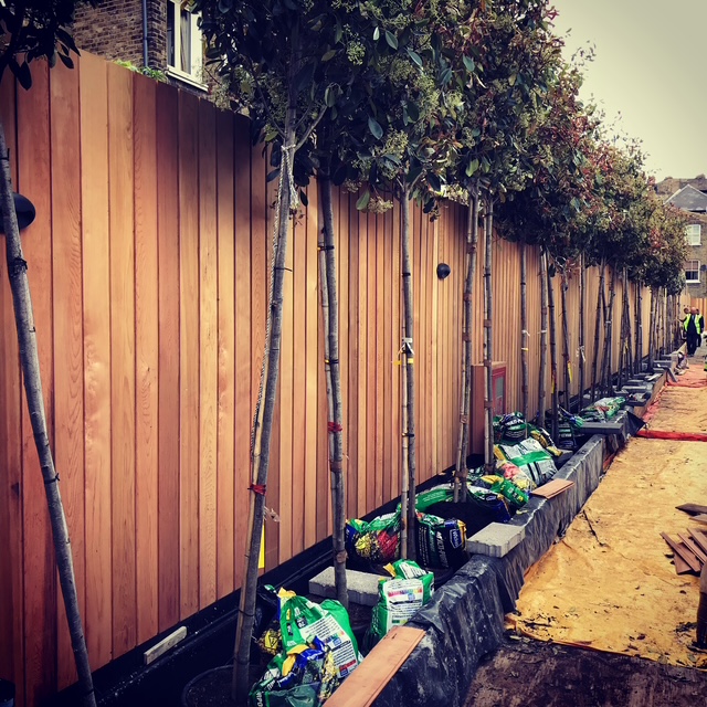 Green Roots Landscaping South West London & Surrey - Gardening Maintenance and Garden Design - Blog Image