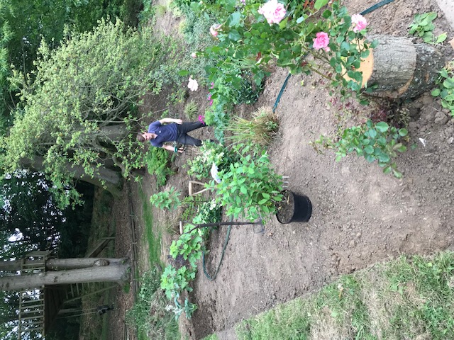 Green Roots Landscaping South West London & Surrey - Gardening Maintenance and Garden Design - Project Image - Image 6