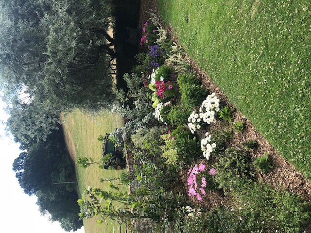 Green Roots Landscaping South West London & Surrey - Gardening Maintenance and Garden Design - Project Image - Image 3