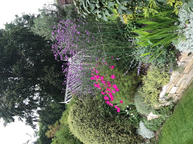 Green Roots Landscaping South West London & Surrey - Gardening Maintenance and Garden Design - Blog Image