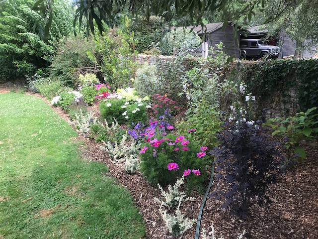 Green Roots Landscaping South West London & Surrey - Gardening Maintenance and Garden Design - Project Image - Image 4