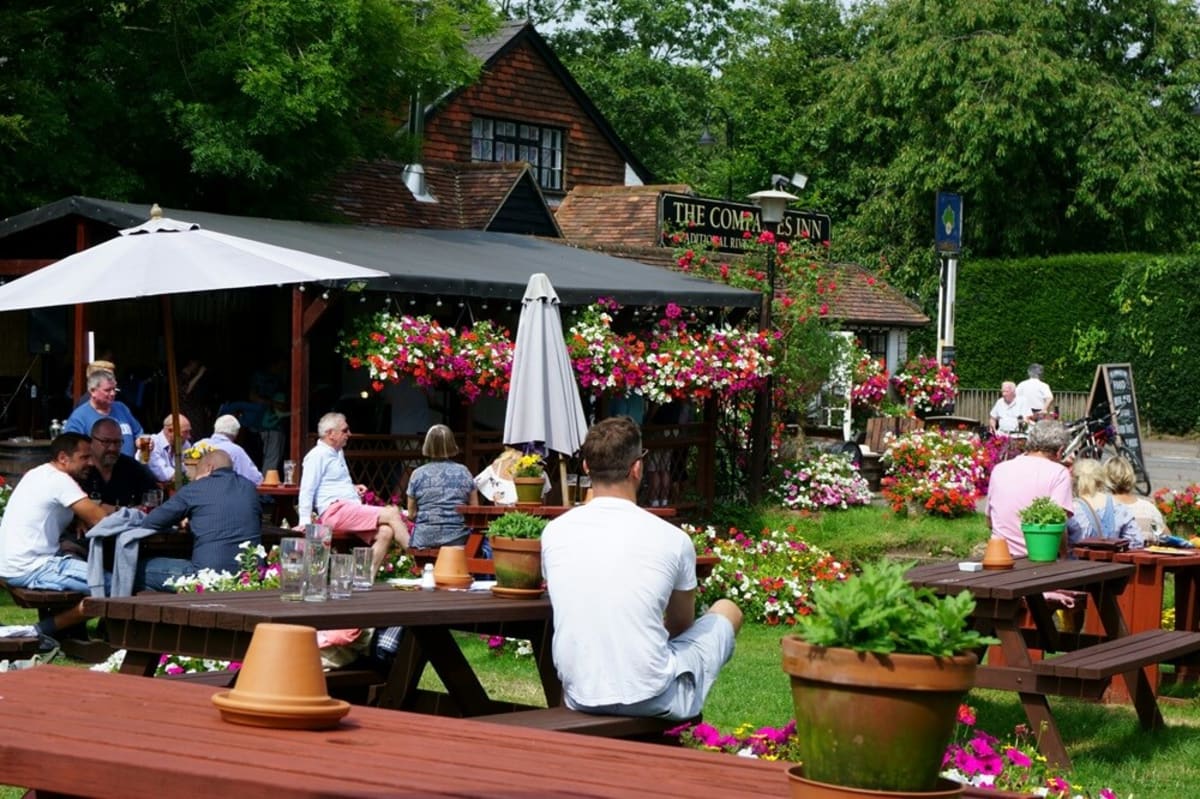 Green Roots Landscaping South West London & Surrey - Gardening Maintenance and Garden Design - Introduction Image