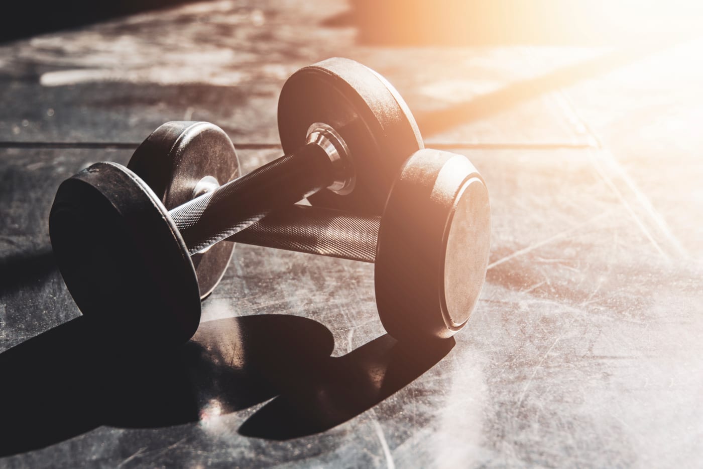 Rack of dumbbells in a strength gym